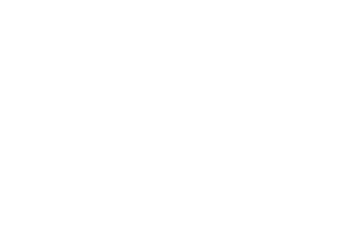 elasticity1