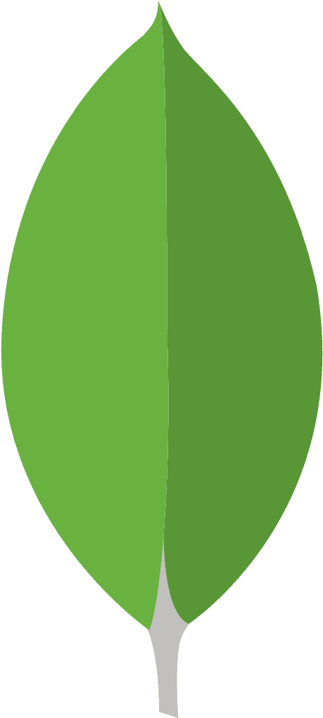 mongoDB